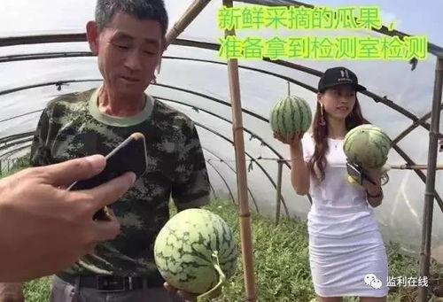 吃瓜老头直播,揭秘娱乐圈幕后故事