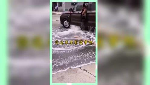 娱乐吃瓜鱼塘,吃瓜鱼塘里的那些事儿