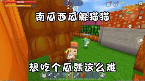 阿北吃瓜,揭秘娱乐圈幕后故事