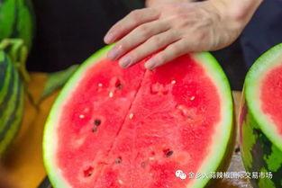 大学吃瓜网zhi,揭秘校园热点事件，带你领略校园生活百态