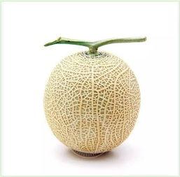 吃瓜兴奋的方法,一场视觉盛宴的狂欢之旅