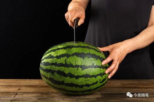 吃瓜兴奋的方法,一场视觉盛宴的狂欢之旅