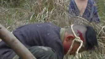 穷孩子吃瓜,揭秘瓜农的辛酸与希望