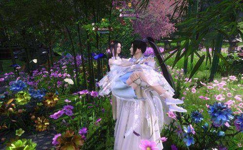 逆水寒情缘吃瓜,宫廷权谋下的爱恨情仇