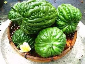 江门新会吃瓜,瓜果飘香，品味夏日田园风情