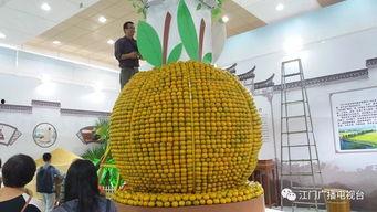 江门新会吃瓜,瓜果飘香，品味夏日田园风情