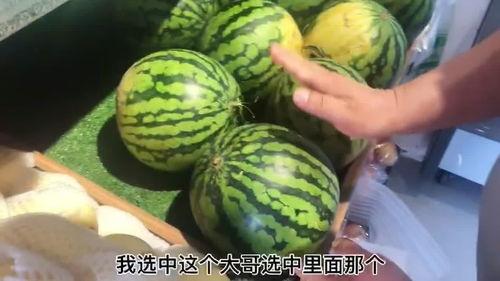吃瓜生活2,揭秘娱乐圈背后的故事与真相