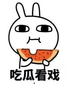 猎奇吃瓜站,揭秘娱乐圈背后的惊人真相！