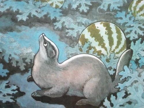 自带板凳吃瓜,见证时代变迁的民间视角