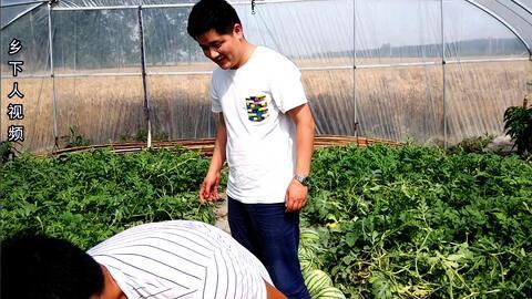 罗桥吃瓜小伙,揭秘网络热点的幕后故事