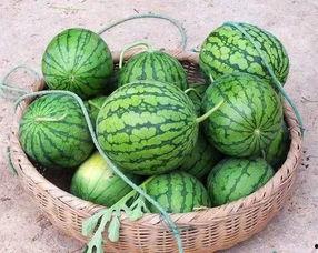 罗桥吃瓜小伙,揭秘网络热点的幕后故事