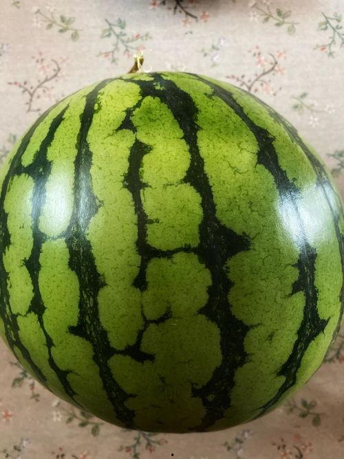 艺术表演吃瓜,揭秘表演背后的趣味与智慧