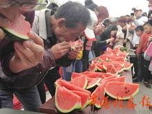 艺术表演吃瓜,揭秘表演背后的趣味与智慧