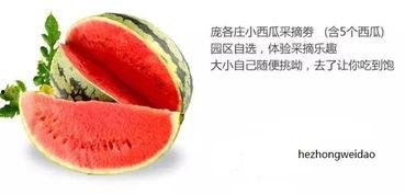 阿禾吃瓜,揭秘娱乐圈那些不为人知的幕后故事