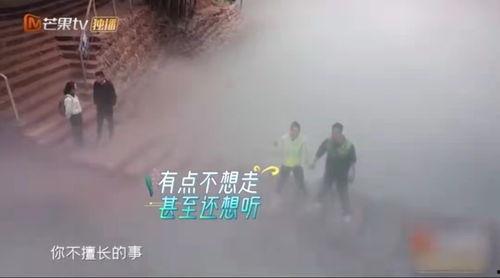 秦海璐吃瓜洪兴,揭秘娱乐圈幕后风云