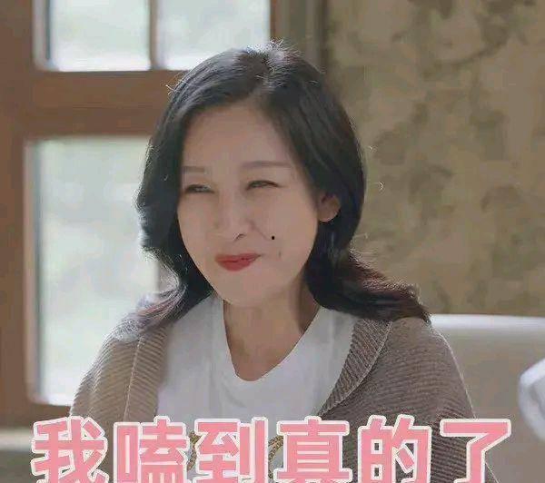 秦海璐吃瓜洪兴,揭秘娱乐圈幕后风云