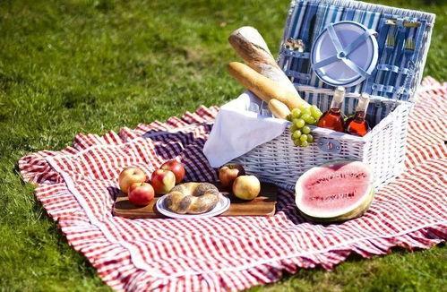 野餐兔吃瓜,野餐兔的甜蜜瓜果盛宴