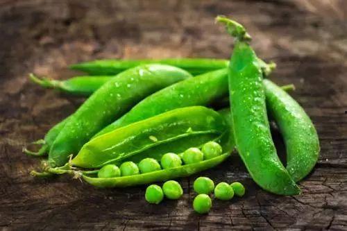 两瓜吃豆人,一场奇幻冒险的豆子之旅