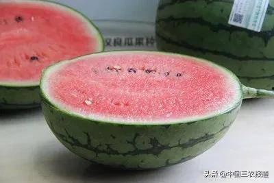 吃瓜算不算真吃瓜,真吃瓜还是假围观？