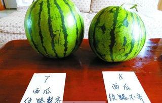 斗腕圈吃瓜,揭秘吃瓜群众的狂欢盛宴