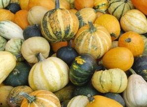 吃爱可可的瓜,揭秘网红吃爱可可背后的甜蜜瓜界风云