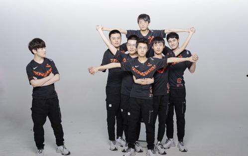 f9全员吃瓜,揭秘娱乐圈幕后风云