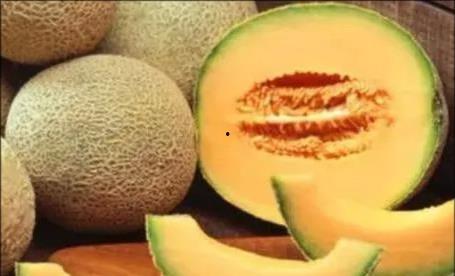 吃清甜哈密瓜