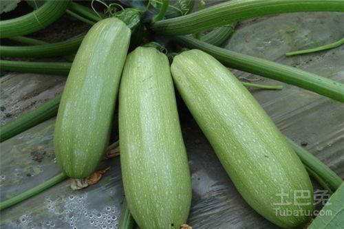 解放西吃瓜视频,揭秘网红美食背后的故事