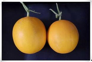 平阴吃瓜事件,一场网络热议背后的真相揭秘