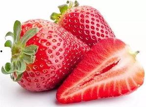 沈阳吃瓜爆料,揭秘城市热点事件背后的真相