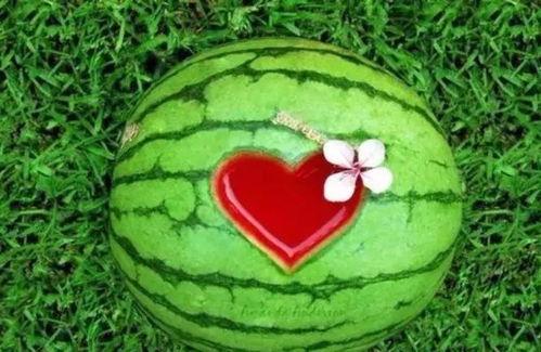 带你吃瓜现在天气,夏日炎炎，揭秘各地天气奇观！”