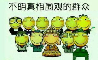 吃瓜群众吃瓜事件真相