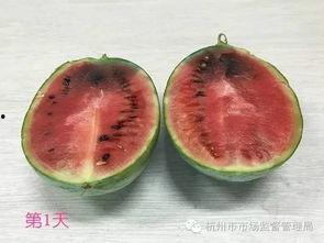 怎么成为吃瓜达人,揭秘如何成为吃瓜达人的进阶之路