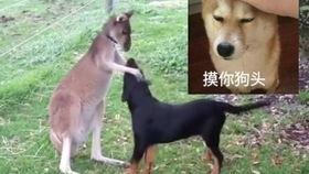 正在吃瓜的李白,诗仙李白与他的“吃瓜”轶事