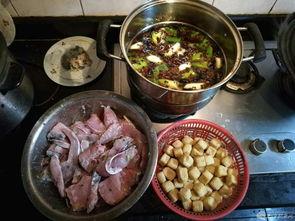 美女请客吃烤红瓜,温馨时光尽享美味