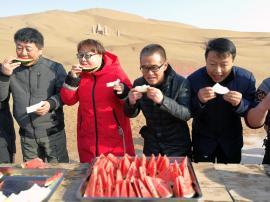 范里吃瓜大赛,一场舌尖上的狂欢盛宴