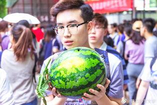 范里吃瓜大赛,一场舌尖上的狂欢盛宴