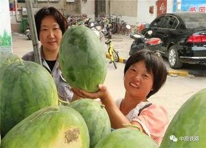 白光灯吃瓜,吃瓜群众的狂欢盛宴