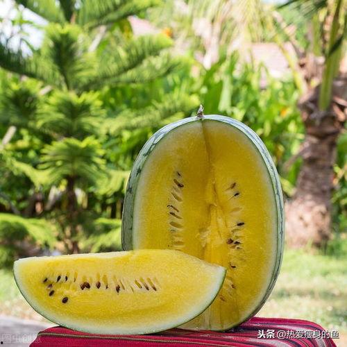 白光灯吃瓜,吃瓜群众的狂欢盛宴