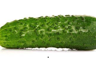 海杉会吃瓜,揭秘海洋植物界的“吃瓜高手”