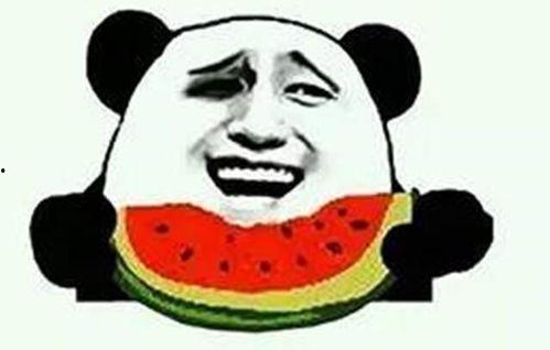 明星吃瓜群众来袭小说,吃瓜群众来袭，揭秘娱乐圈风云