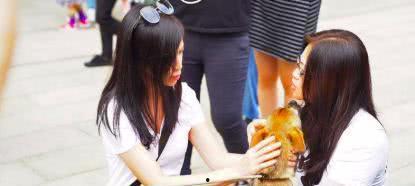 吃瓜名媛姐妹团