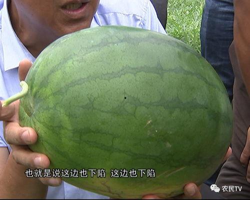 吃瓜只吃优质瓜