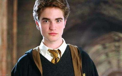 赵小童吃瓜罗伯特,揭秘娱乐圈幕后故事