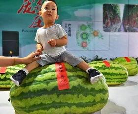 平谷吃瓜群众,揭秘当地生活百态