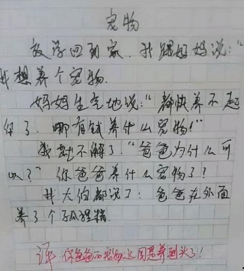 吃瓜 作文,揭秘娱乐圈的幕后真相