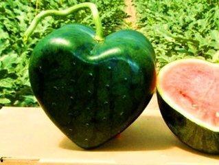 十三吃瓜版,揭秘娱乐圈幕后真相，带你领略明星们的真实生活