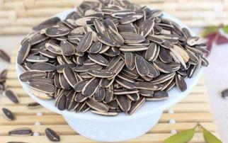 听瓜吃瓜子图片