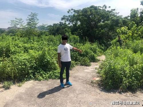 吃瓜群众遭拘留,网络围观引发社会关注