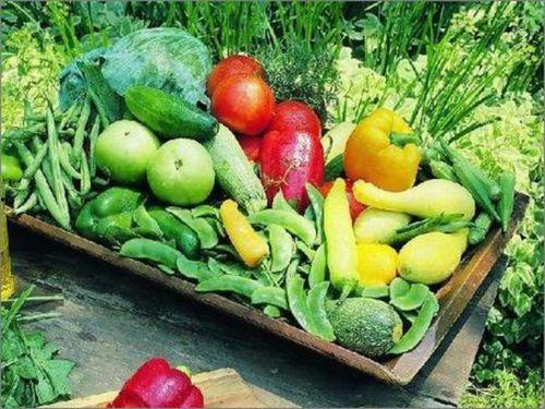 英区ppt吃瓜,揭秘幕后故事与趣味瞬间